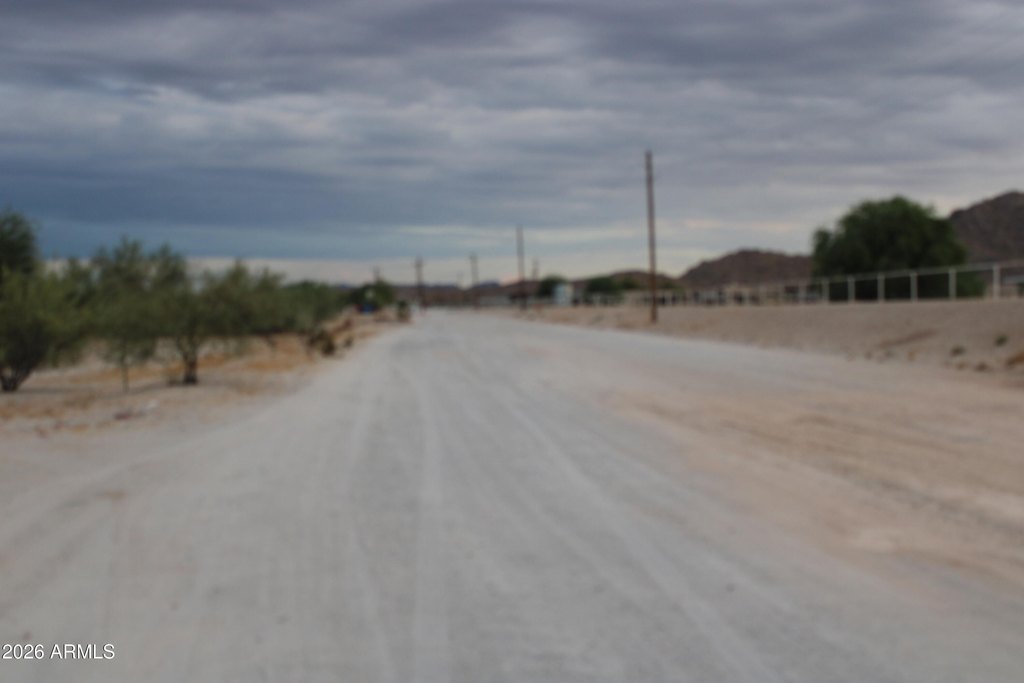 Picture 8