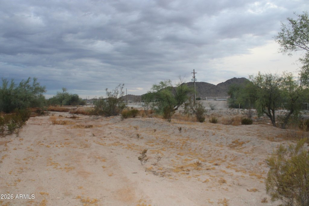 Picture 3