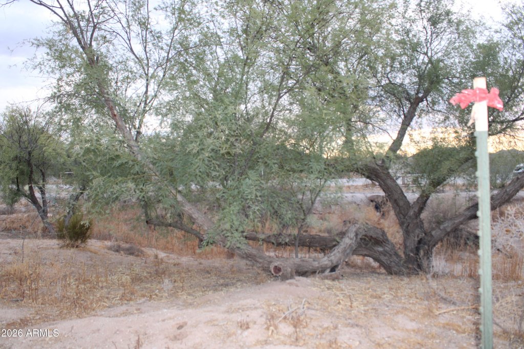 Picture 19