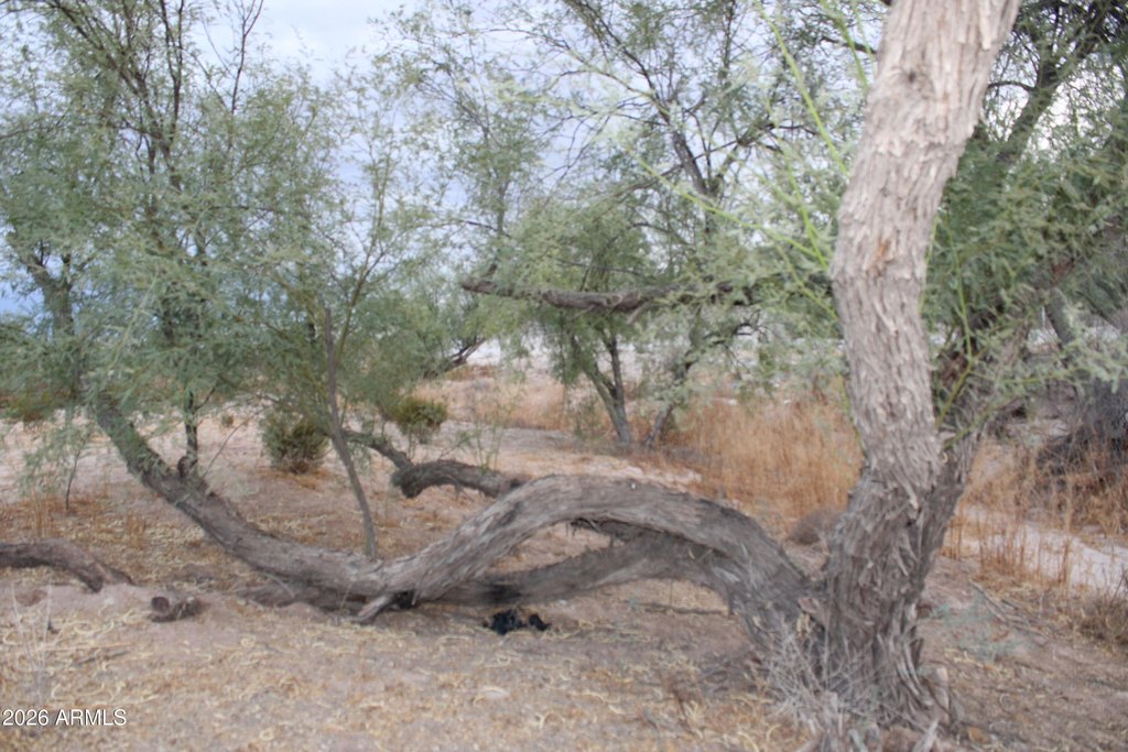 Picture 20