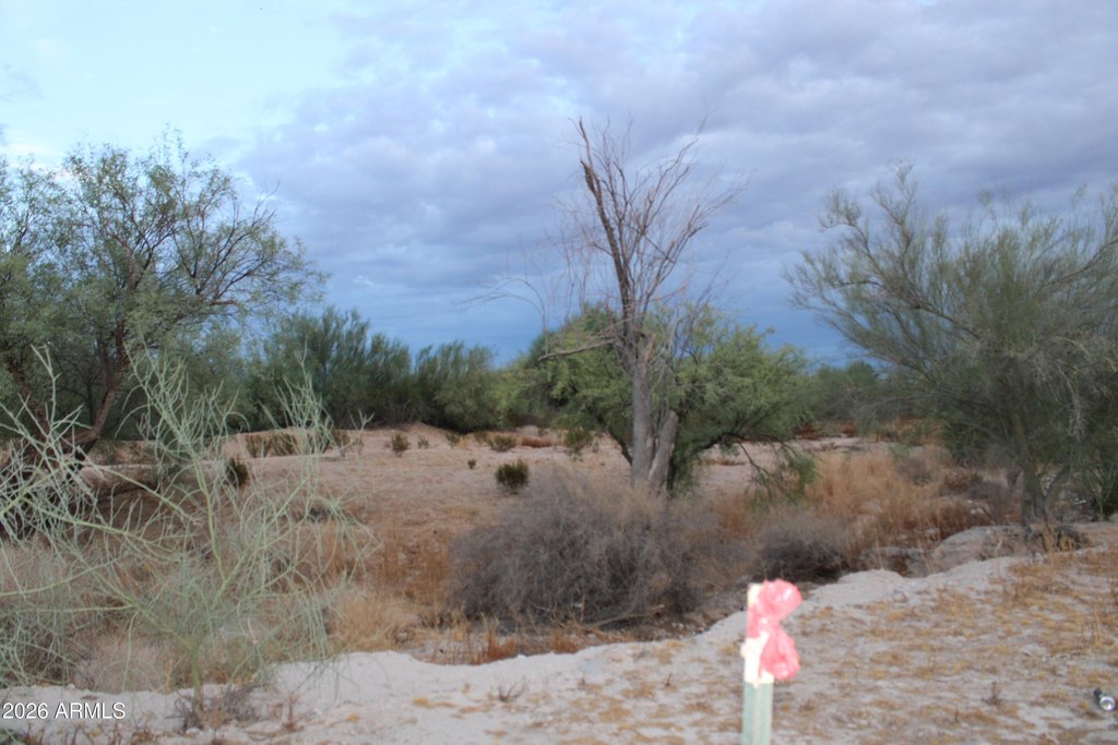 Picture 21