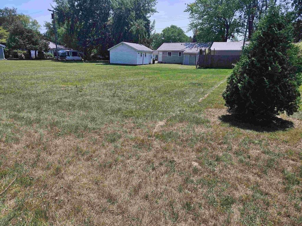 Picture 6