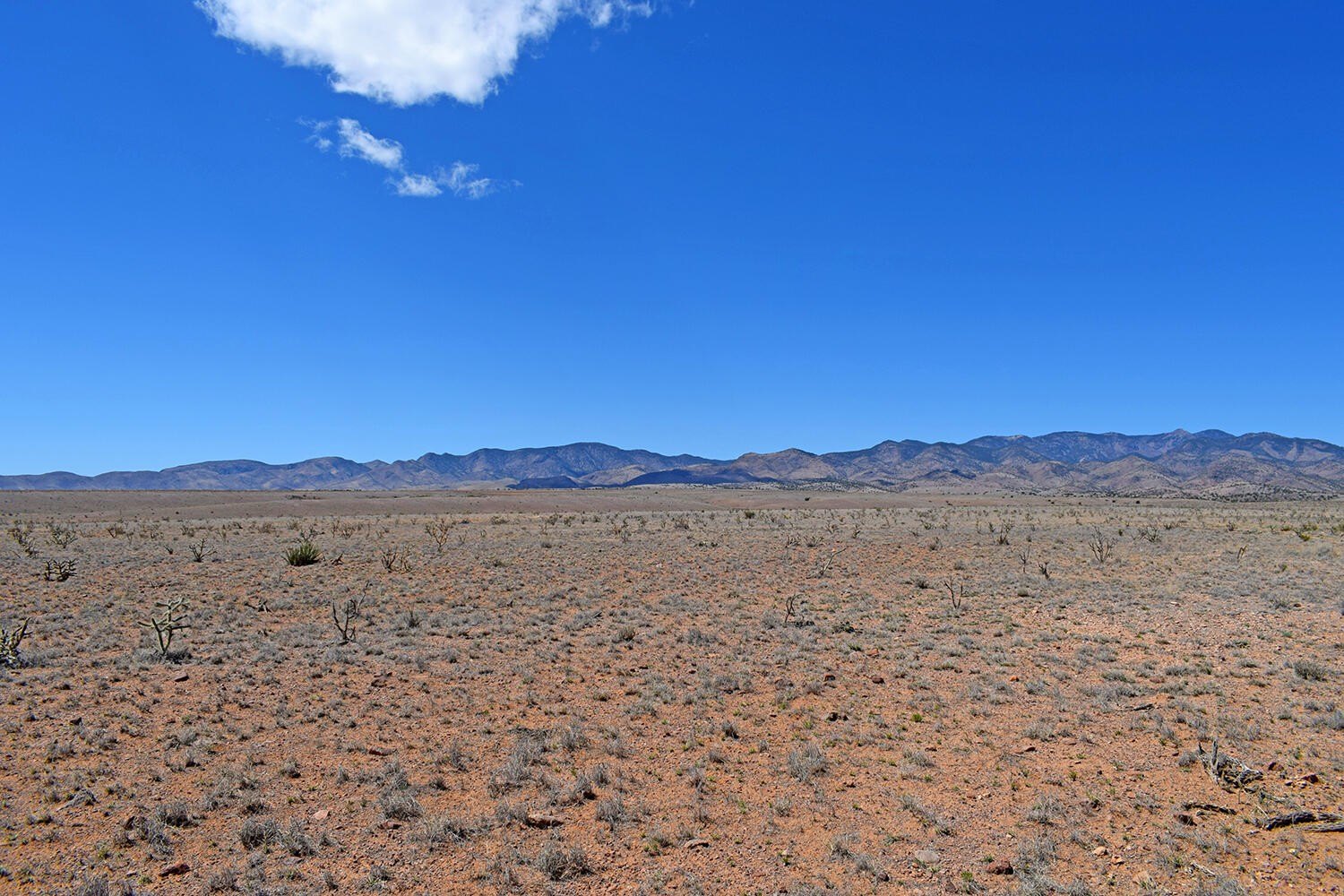 Land in San Antonio, NM