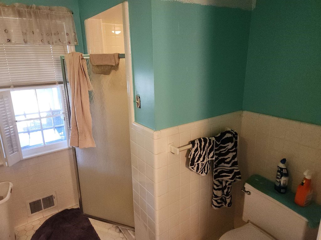 Picture 13