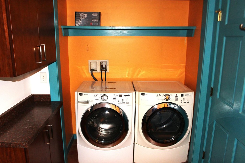 Picture 8