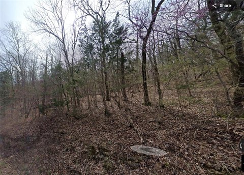 Wooded Lot in Holiday Island
