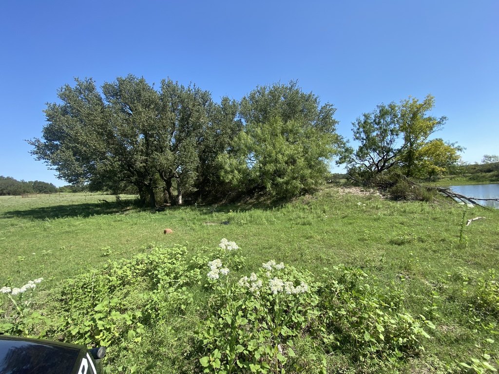 Picture 18