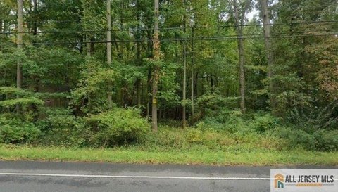 Residential Land in Monroe, NJ