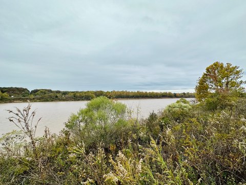 LAND - Marksville, LA