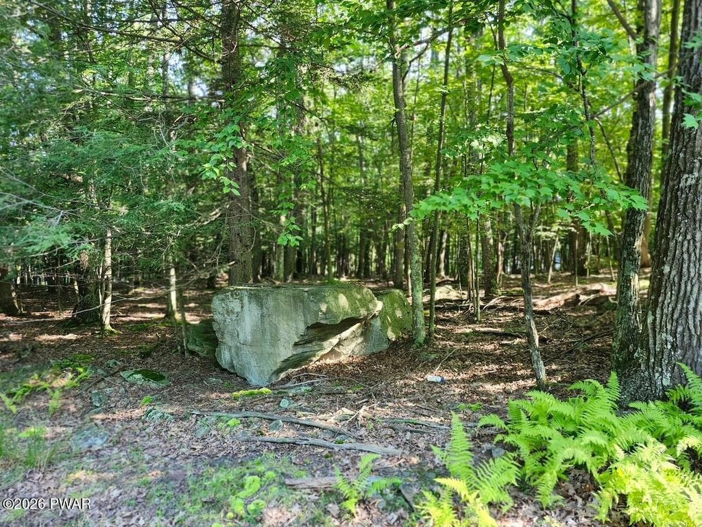 Picture 3
