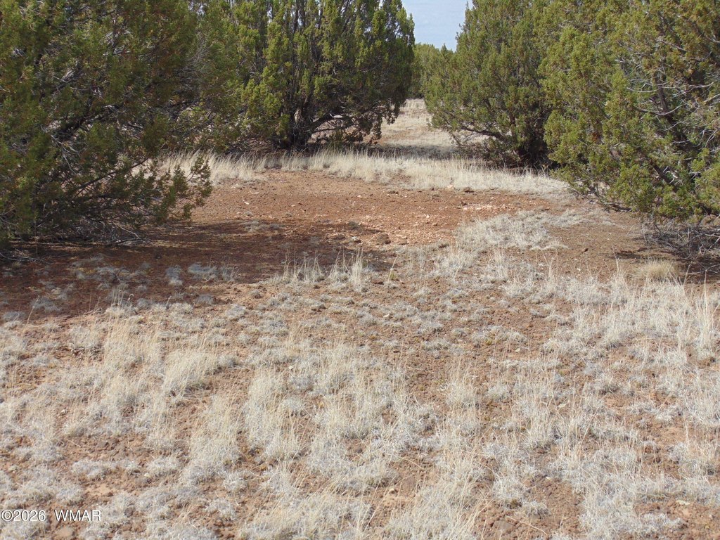 Picture 20