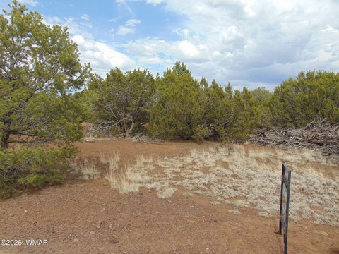 LAND - Vernon, AZ