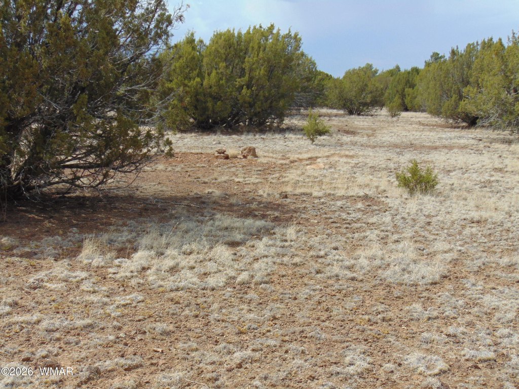 Picture 22