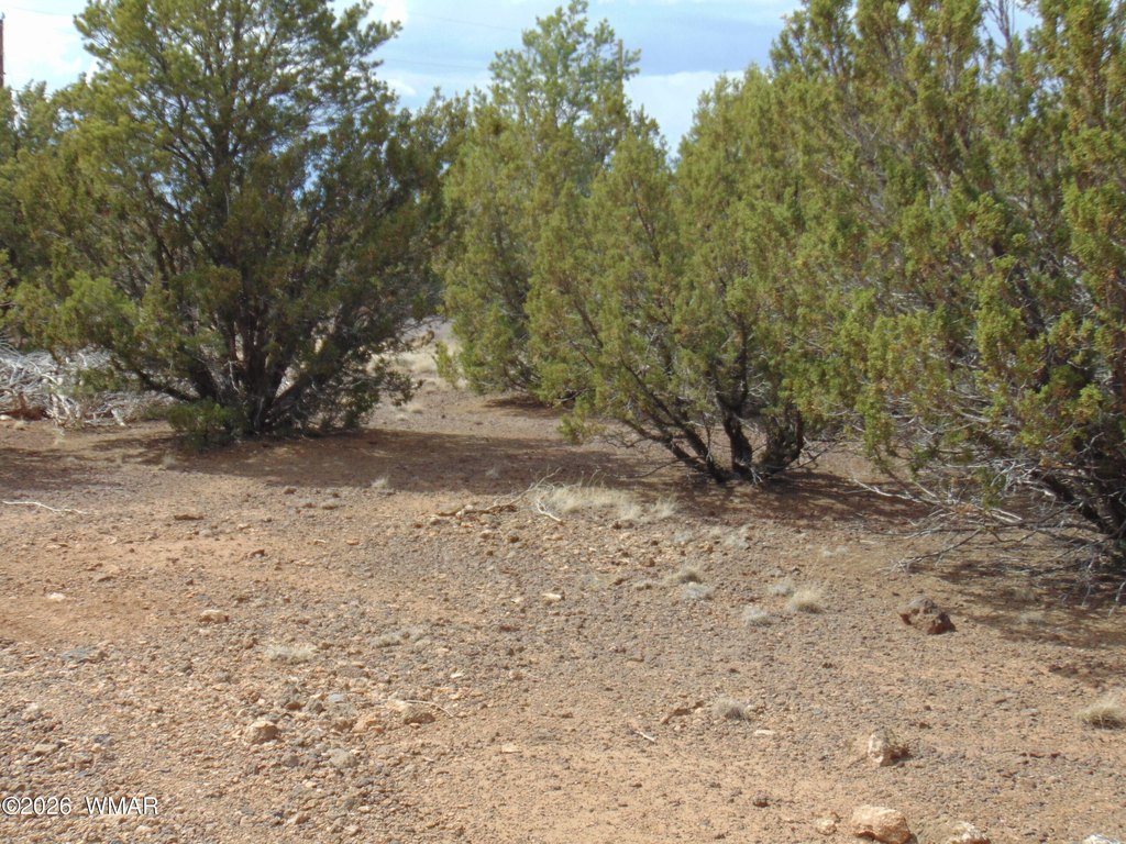 Picture 24