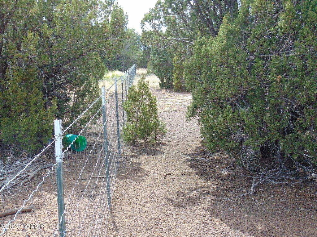 Picture 14