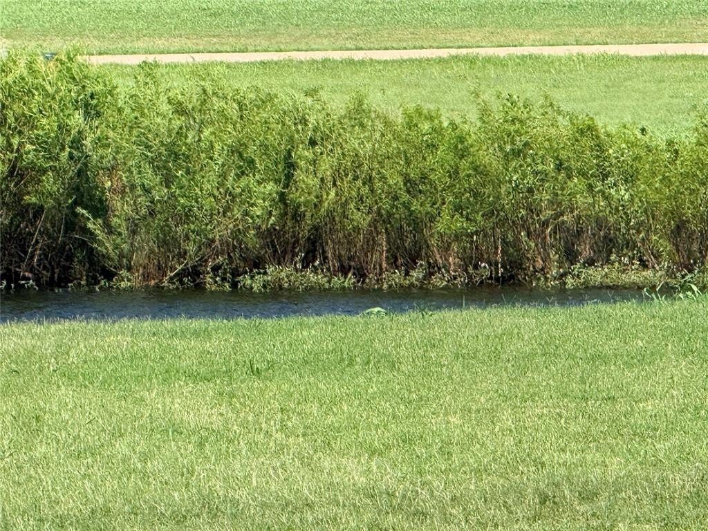 Picture 17