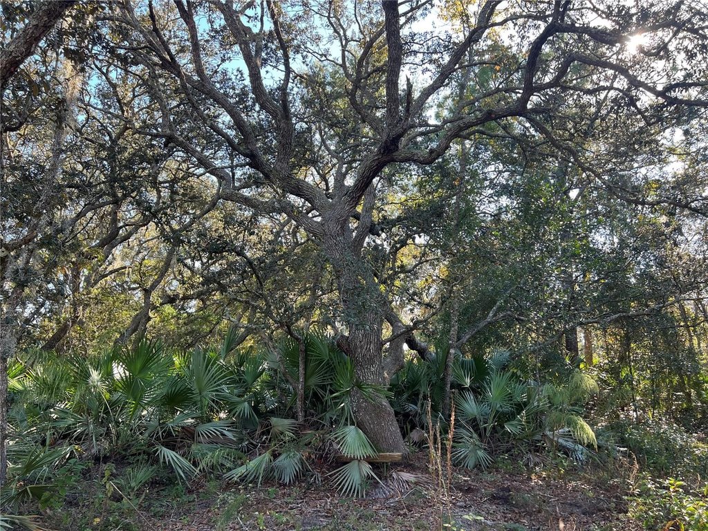 Picture 3