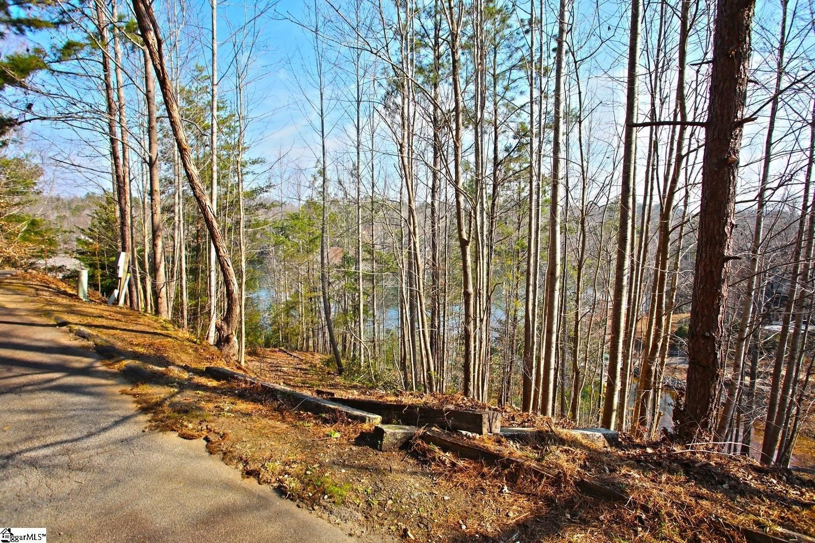 Waterfront Land with Covered Dock