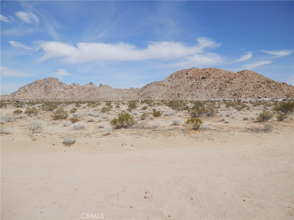 Picture 4