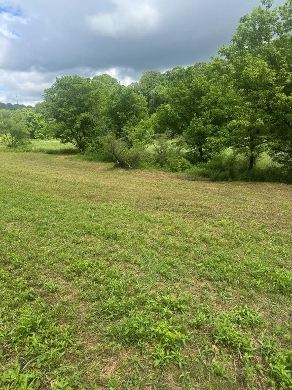 Picture 23