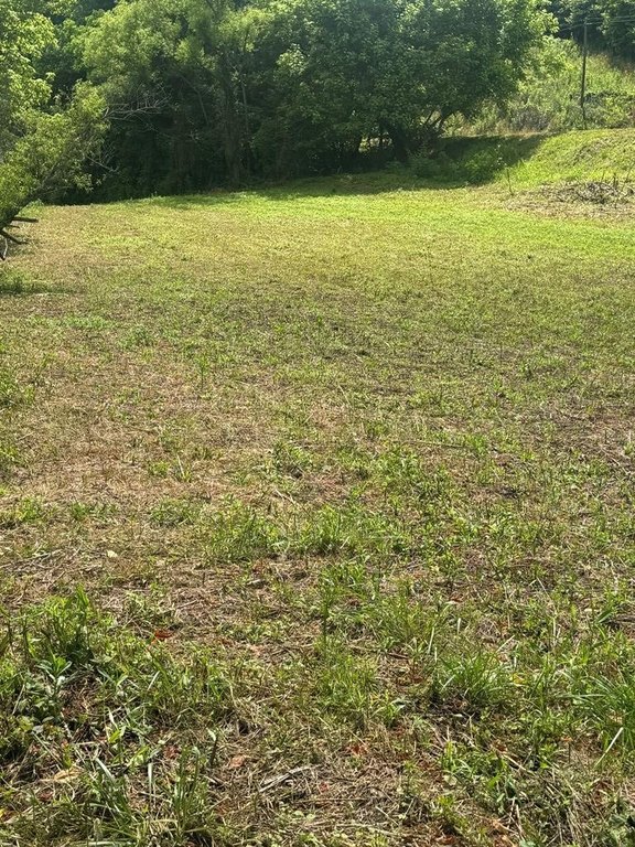 Picture 11