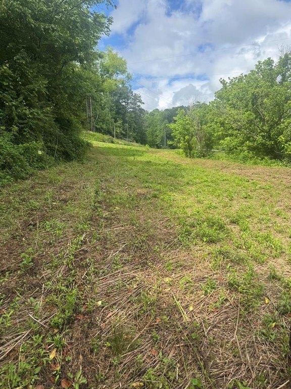 Picture 19