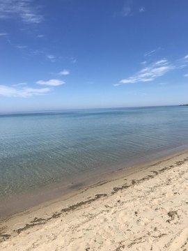 Land, Northport, MI