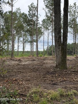 Land, Laurinburg, NC