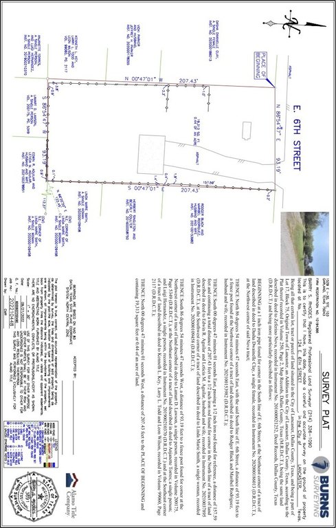 Picture 6