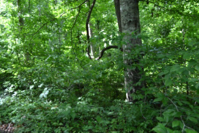 Picture 41