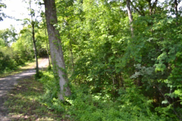 Picture 23