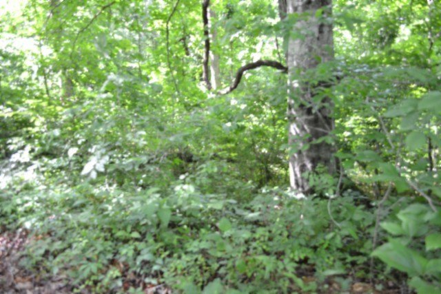 Picture 22
