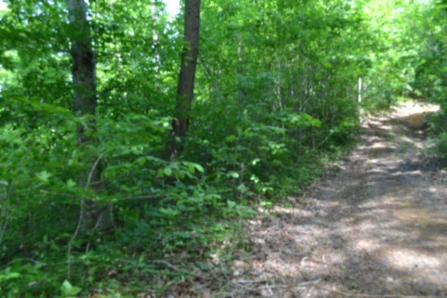 Picture 37