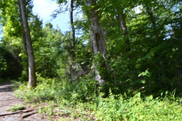 Picture 8