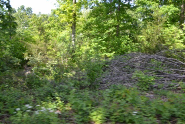 Picture 13