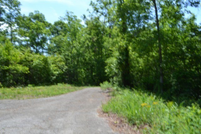 Picture 39
