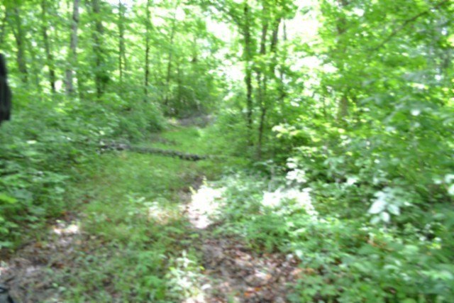 Picture 20