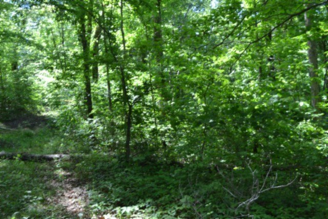 Picture 16