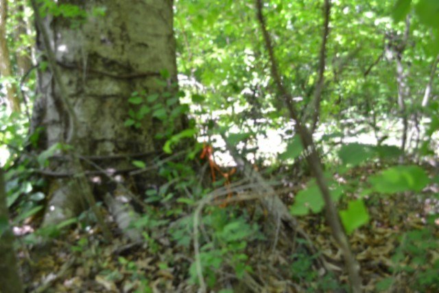 Picture 19