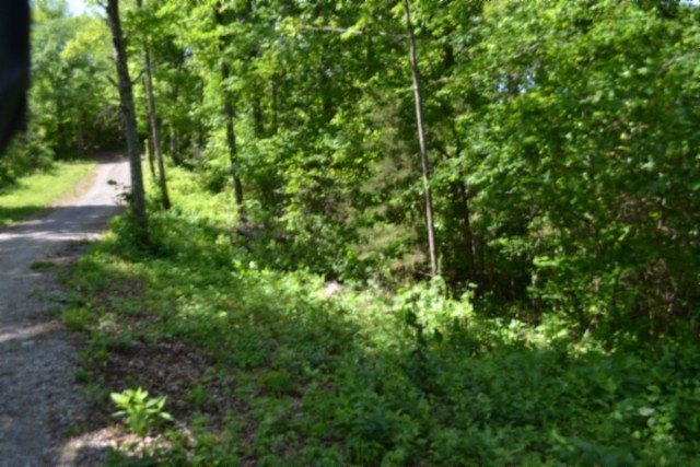 Picture 5