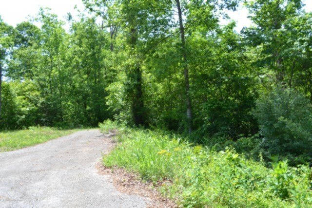 Picture 38