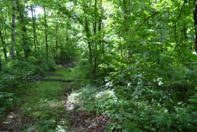 Picture 24