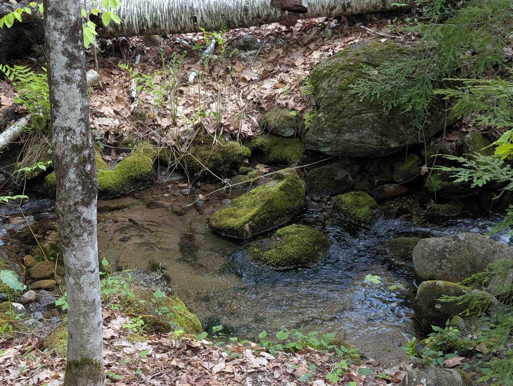 Picture 28