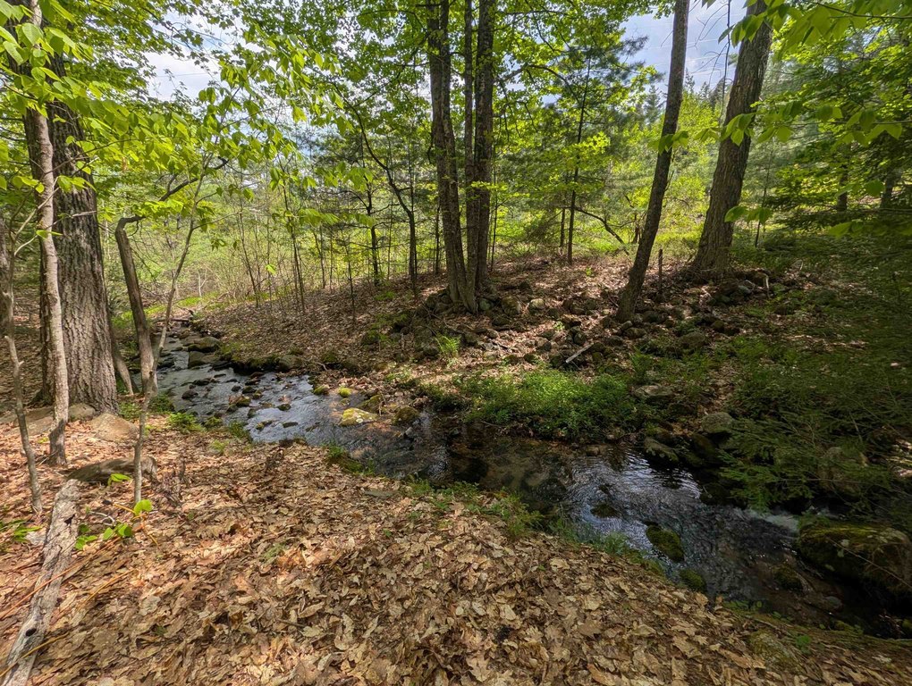 Picture 29