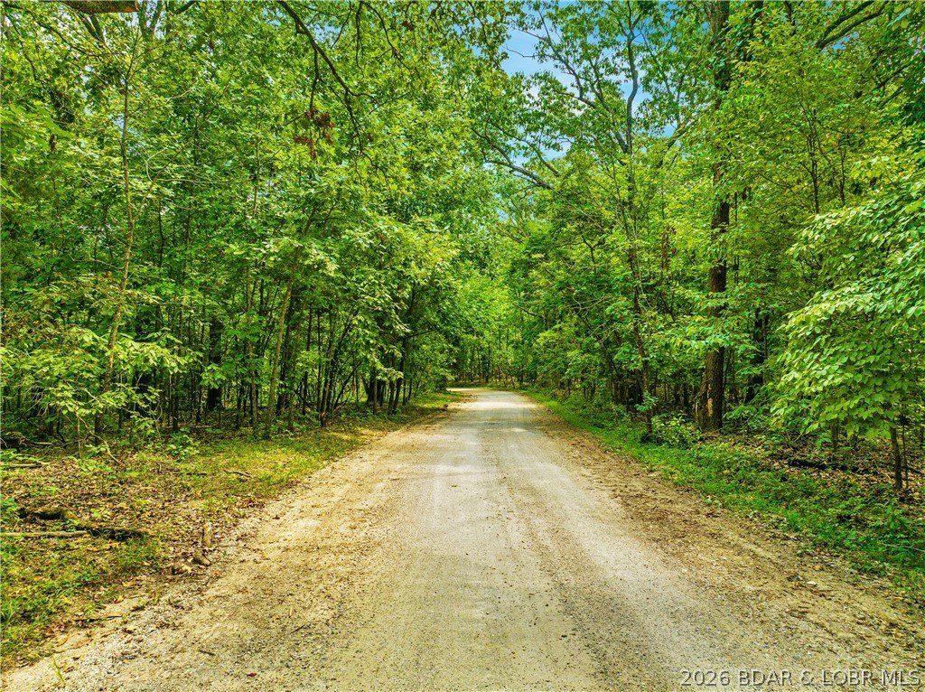 Picture 20