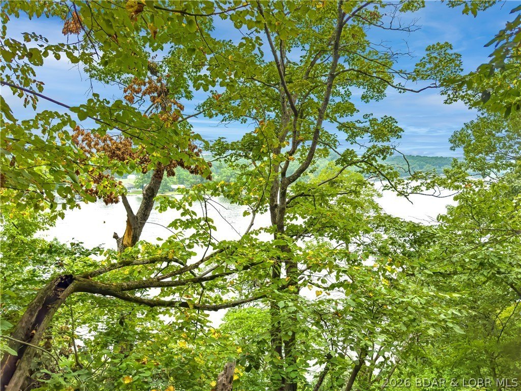 Picture 25