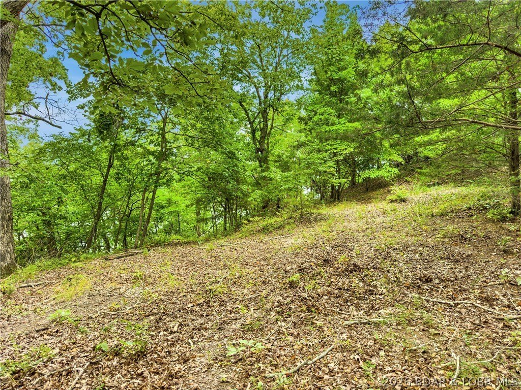 Picture 21