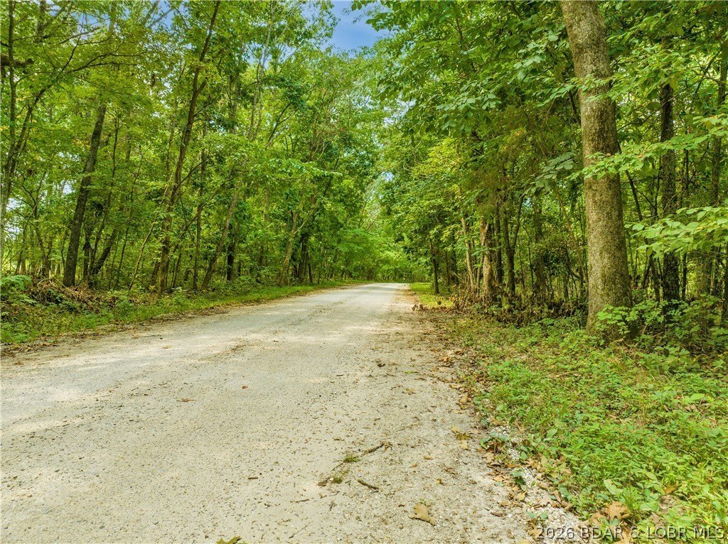 Picture 19
