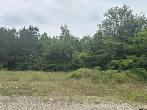 Tyler, TX Wooded Vacant Land