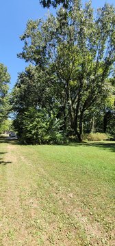 Wooded Lot in Cloverdale Addition